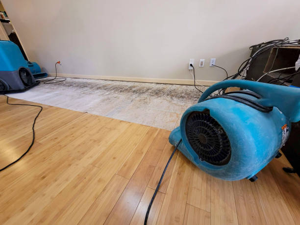 Professional Structural Drying technician working in Kenosha, WI